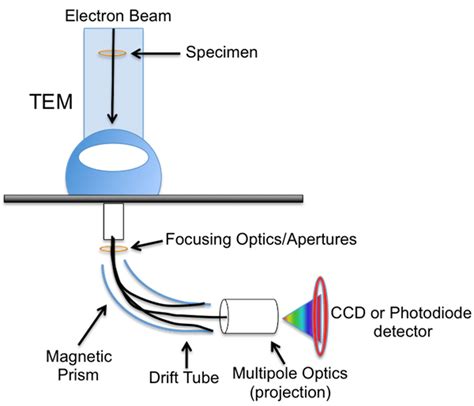 透射电镜TEM测试 TEM制样案例分享 - 知乎