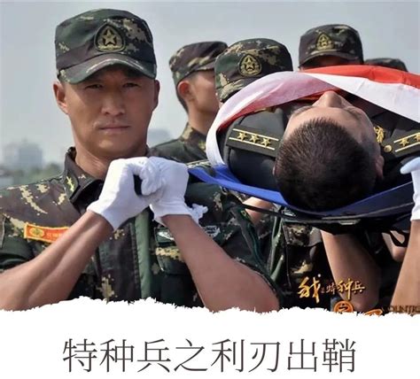 中国十大特种部队，求几部中国特种部队类的电视连续剧
