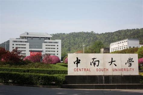 中南大学最好的三个专业排名（中南大学是985还是211大学分数线） - 学习 - 布条百科