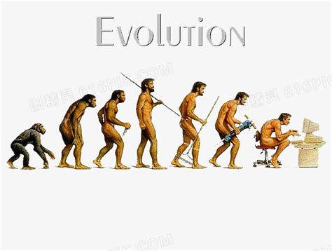 进化的争论：大多数人类起源的故事与已知的化石不兼容_风闻