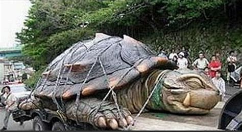 农村老汉挖出庞大石龟，村里的老人都称这是一个宝贝！|石龟|老汉|宝贝_新浪新闻