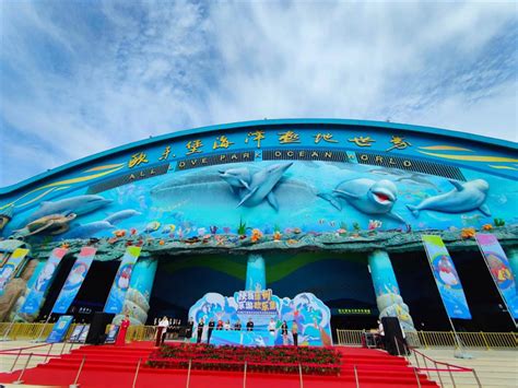 上海市海昌极地海洋世界剧场投影 – 安恒集团
