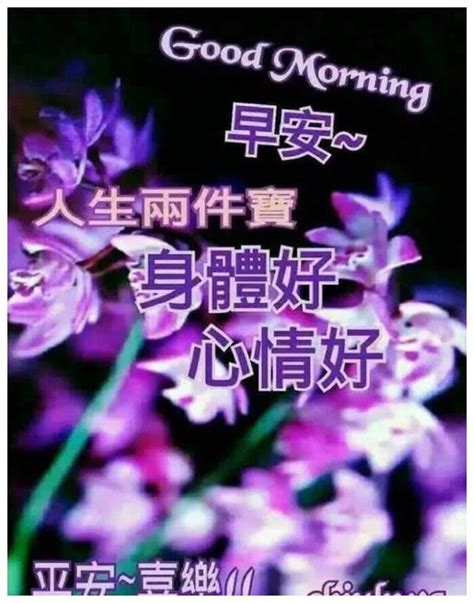 非常漂亮早上好祝福语美图，早晨问候大家早上好阳光暖心