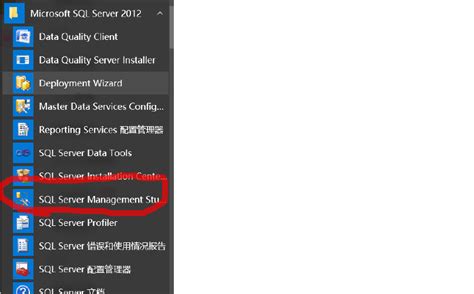 微软 Microsoft SQL Server 2012 SP2 RTM 数据库简体中文正式版下载 | 异次元软件下载