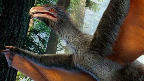 Yi qi: Bat-Winged Dinosaur Discovered in China | Paleontology | Sci ...