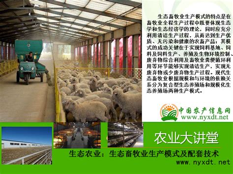 生态农业：生态畜牧业生产模式及配套技术