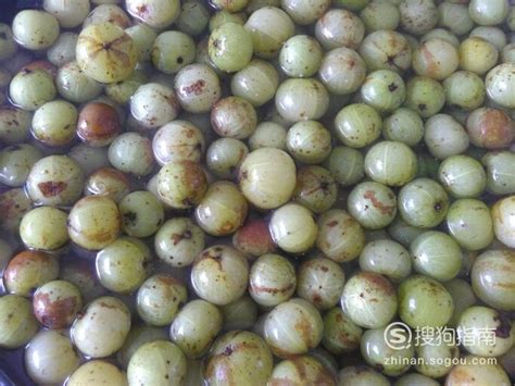 余甘果又叫油甘果或云南滇橄榄 牛甘果的营养价值和功效作用