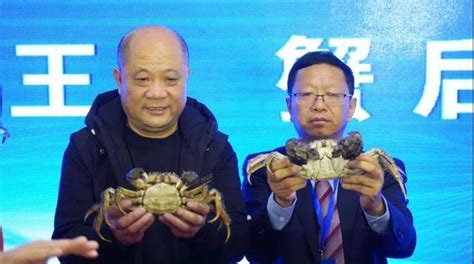 【通知】2022年“王宝和杯”全国河蟹大赛暨第十六届上海海洋大学蟹文化节