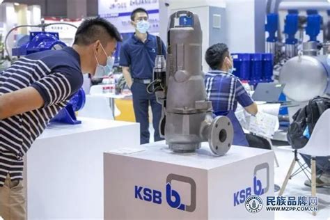 20W/60W 电子水泵装配线_毕勤自动化设备（上海）有限公司