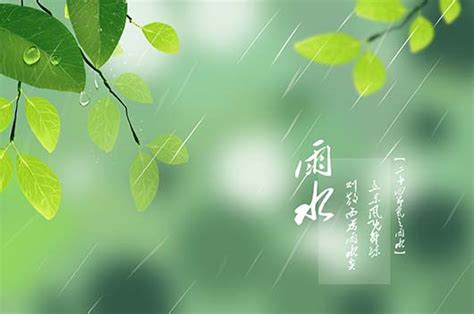 雨字体设计-雨艺术字图片下载-觅知网