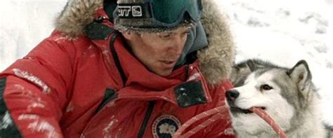 ‎Eight Below (2006) directed by Frank Marshall • Reviews, film + cast ...