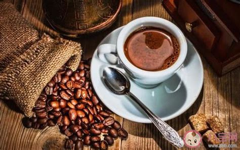左旋肉碱魔芋咖啡减肥代餐饱腹抑制食欲 瘦身燃脂减脂咖啡保健品-阿里巴巴