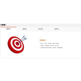 天津搜索引擎宣传公司在线咨询_其他商务服务_第一枪