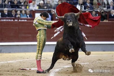 斗牛士斗牛图片-在一个典型的西班牙斗牛士斗牛战斗素材-高清图片-摄影照片-寻图免费打包下载