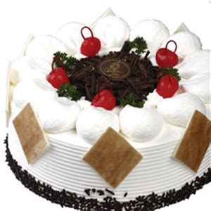91cake——蛋糕甜品券|平面|宣传物料|小万er - 原创作品 - 站酷 (ZCOOL)