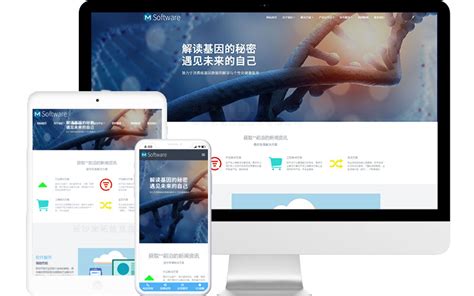 南京心亿外包服务做网站建设一条龙全包手机企业模版网页设计定制制作开发建站仿站