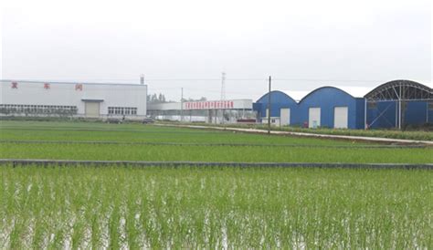 安徽黄山：收割水稻-人民图片网