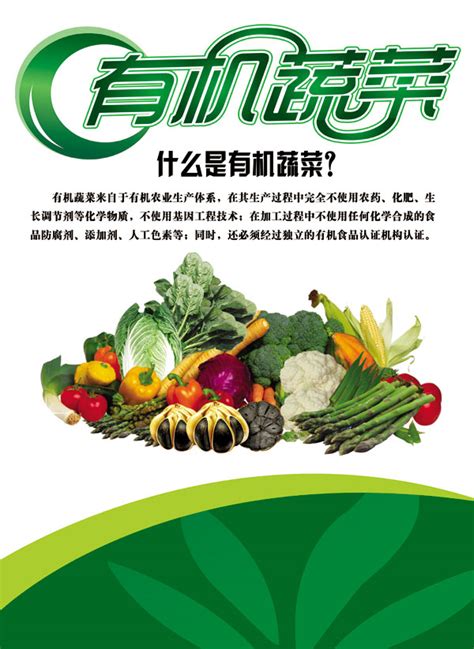 有机蔬菜黄瓜玉米大蒜养生食品菜图片免费下载_PNG素材_编号192i8wnkv_图精灵