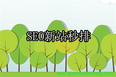 SEO智库-SEO研究中心_第2页-seo优化,短视频,SMO优化,互联网营销