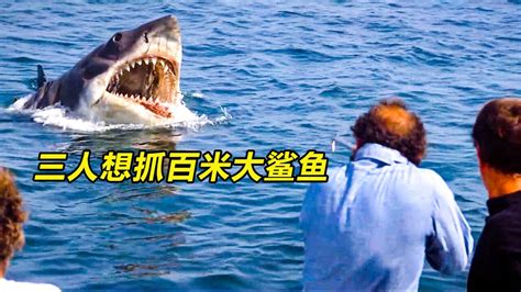 几人来到海上想抓百米大白鲨