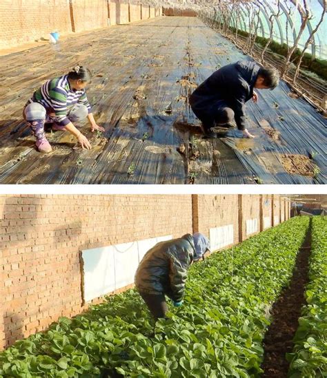 承德县人民政府 图片新闻 承德县搭建农民创业平台带动农民致富增收