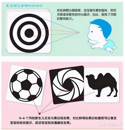 婴儿眼睛发育的过程图（如何促进宝宝的视力发育）-幼儿百科-魔术铺