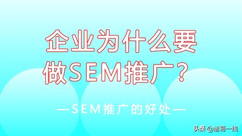做seo最关键的有哪些（企业为什么要做seo）-8848SEO