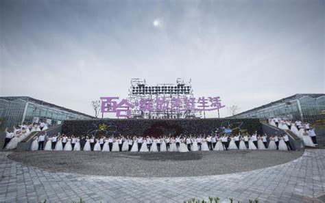 新华网溯源中国“种子计划”凌源站正式启动