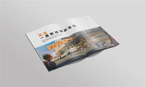 佛山画册设计谈如何选择画册设计的素材_东莞市华略品牌创意设计有限公司