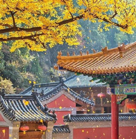 济南的秋天，藏在一场秋雨，一条老街，一抹金黄，一座古寺……__财经头条