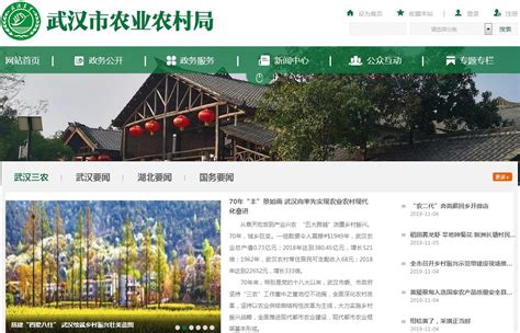 第十六届中国武汉农业博览会开幕