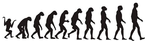 12．人类起源的历程中.人和猿分界的重要标志是 A．下肢骨增长 B．能使用工具和制造工具 C．能直立行走 D．脊柱从弓形变为S形弯曲——青夏 ...