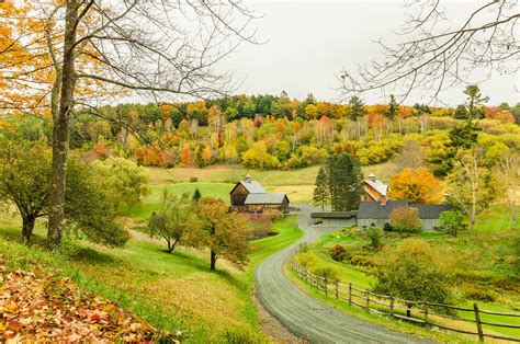 秋天农场的美丽风景 - PSD素材网