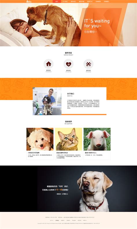 宠物网站 首页|网页|企业官网|1003646082 - 原创作品 - 站酷 (ZCOOL)