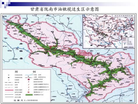 甘肃省陇南市油橄榄产业发展现状和技术创新研究-云南省林业和草原技术推广总站