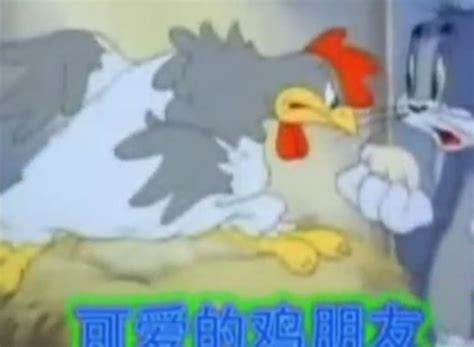 猫和老鼠四川方言版-024-可爱鸡朋友_腾讯视频