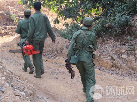 缅甸民族民主同盟军 果敢王彭家声领导的武装力量__财经头条