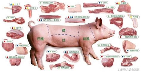 广州大润发超市“挂牛头卖猪肉”？_社会_长沙社区通