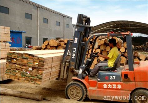 福州嵩口开展木材加工企业生产安全巡查-木业网