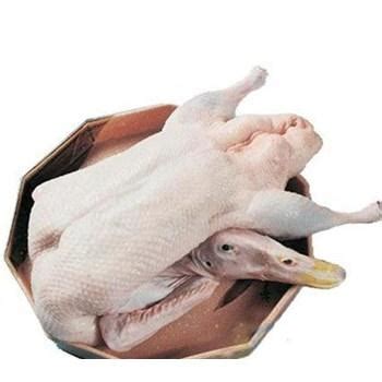 厂家直销 优质冻白条鹅体 生鲜白切鹅肉加工 朗德鹅肉产品-阿里巴巴