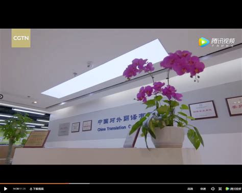 中译公司受邀出镜CGTN大型纪录片《与世界同行》-图片新闻-新闻中心-中国出版集团公司