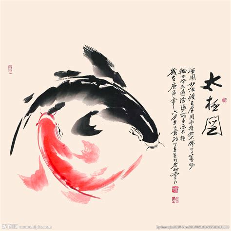 阴阳鱼太极视频素材下载_红动中国