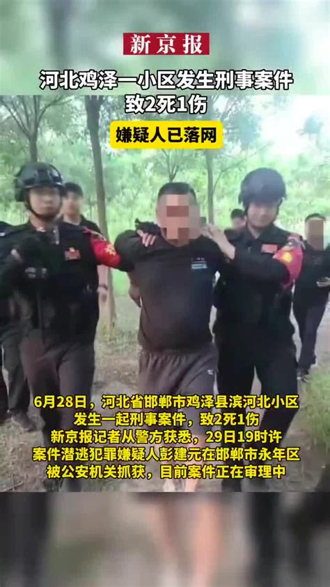 河北鸡泽一小区发生刑事案件致2死1伤，嫌疑人已落网(含视频)_手机新浪网