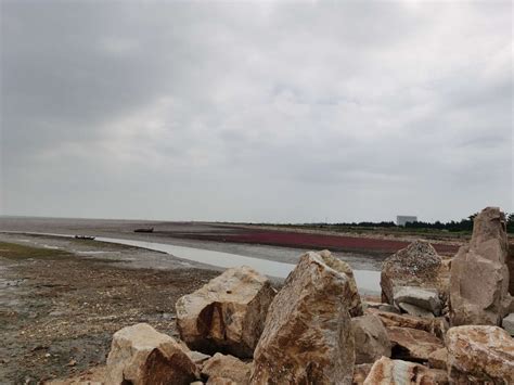 营口市渤海综合治理攻坚战海洋生态整治修复项目进展情况-营口市生态环境局