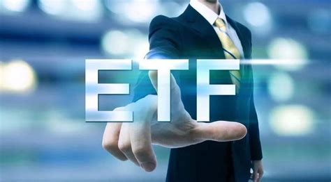 高股息标的受欢迎 中证红利ETF获上市公司现金认购__财经头条