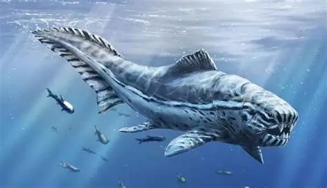 称霸比恐龙还早1亿年的邓氏鱼：以鲨鱼为食，咬合力可达5吨！|邓氏|鲨鱼|恐龙_新浪新闻