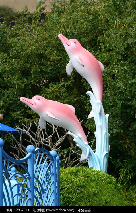 粉色海豚雕塑高清图片下载_红动网