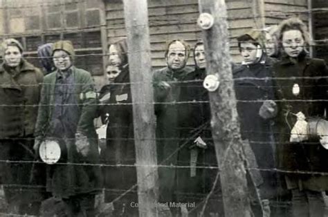 披露纳粹集中营里的悲惨女人们_手机新浪网