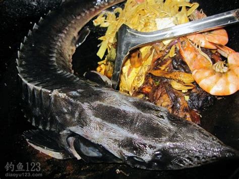 最营养美味的鲟鱼八珍锅的做法_钓鱼人必看