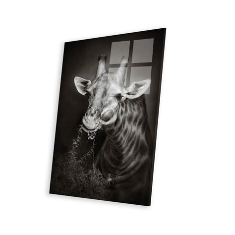 Ebern Designs Giraffe Eating On Plastic/Acrylic by Johan Swanepoel ...